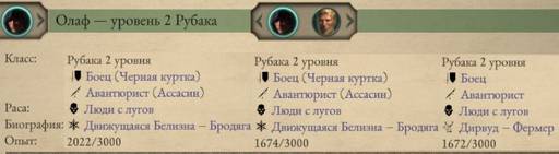 Pillars of Eternity - «Pillars of Eternity 2 II: Deadfire», часть первая. Pillars of Eternity - «Pillars of Eternity 2 II: Deadfire», часть первая.
